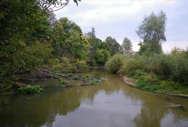 Река Навля в районе Алтухово
